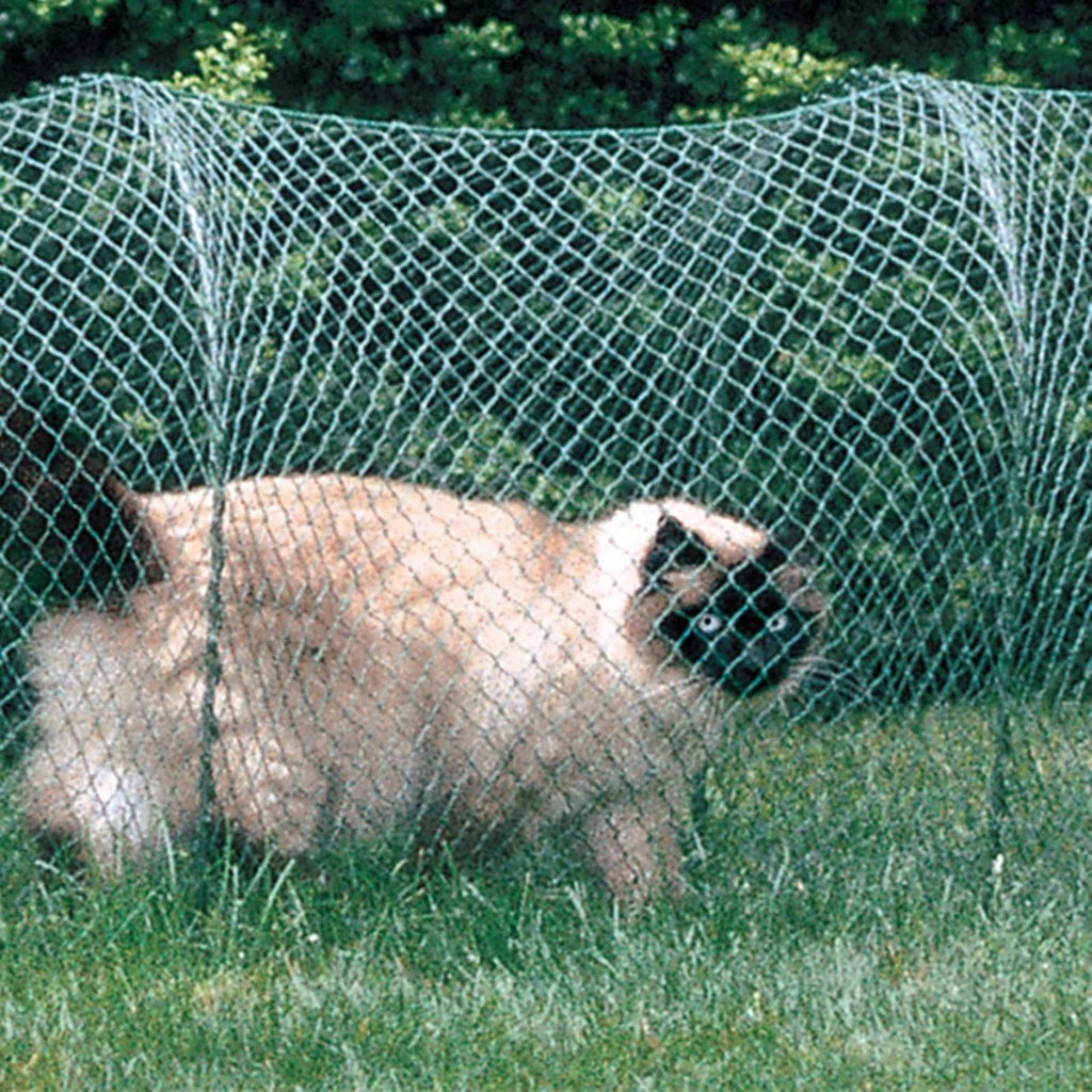 Green Outdoor Cat Enclosure I775