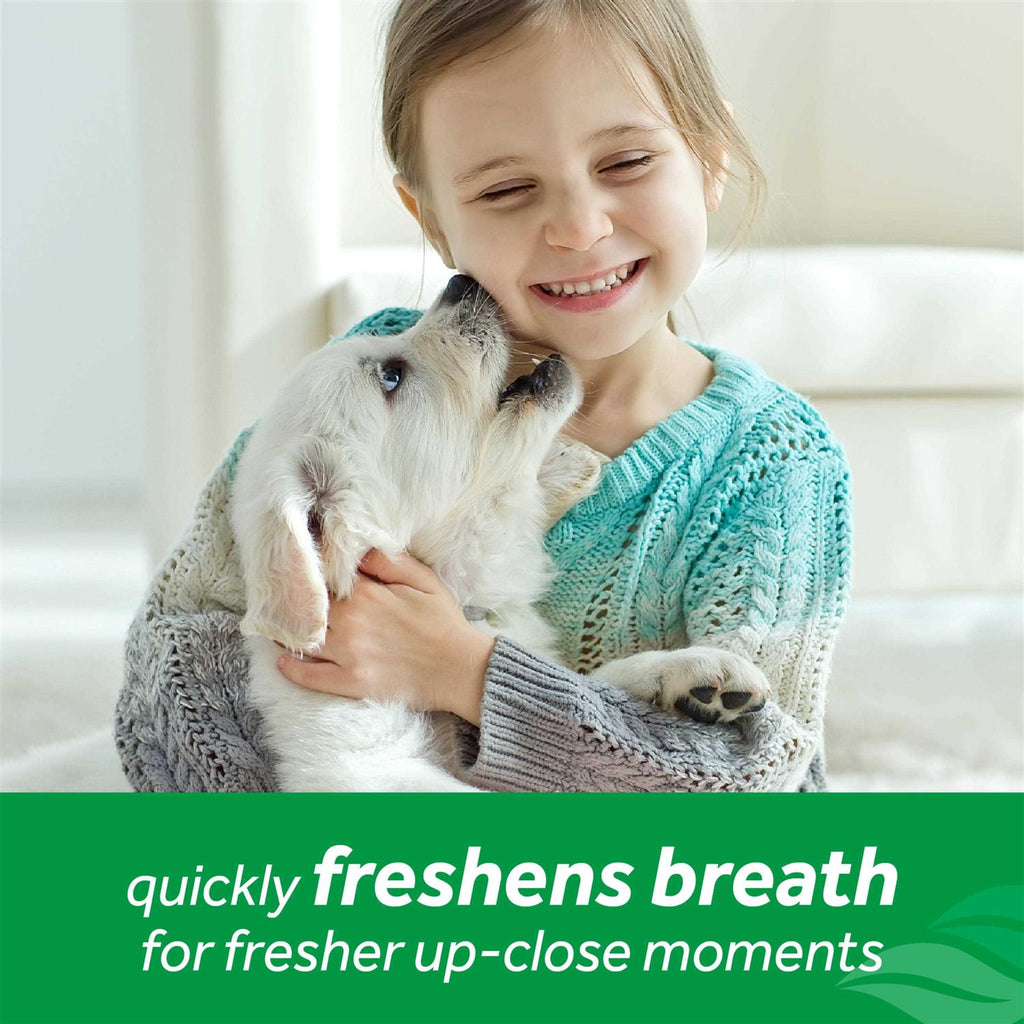 Fresh Breath Oral Care Spray B403