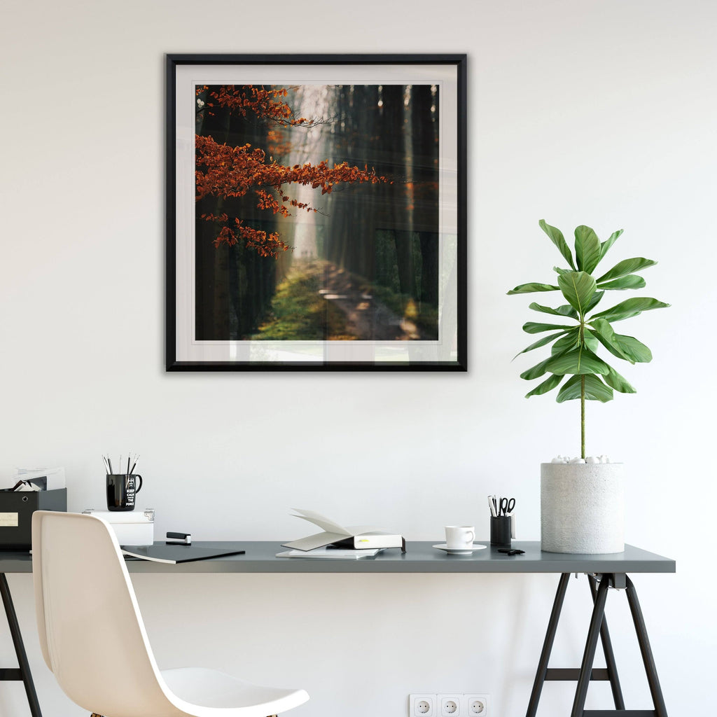 Three-Framed Giclee Print 28x28 A511184