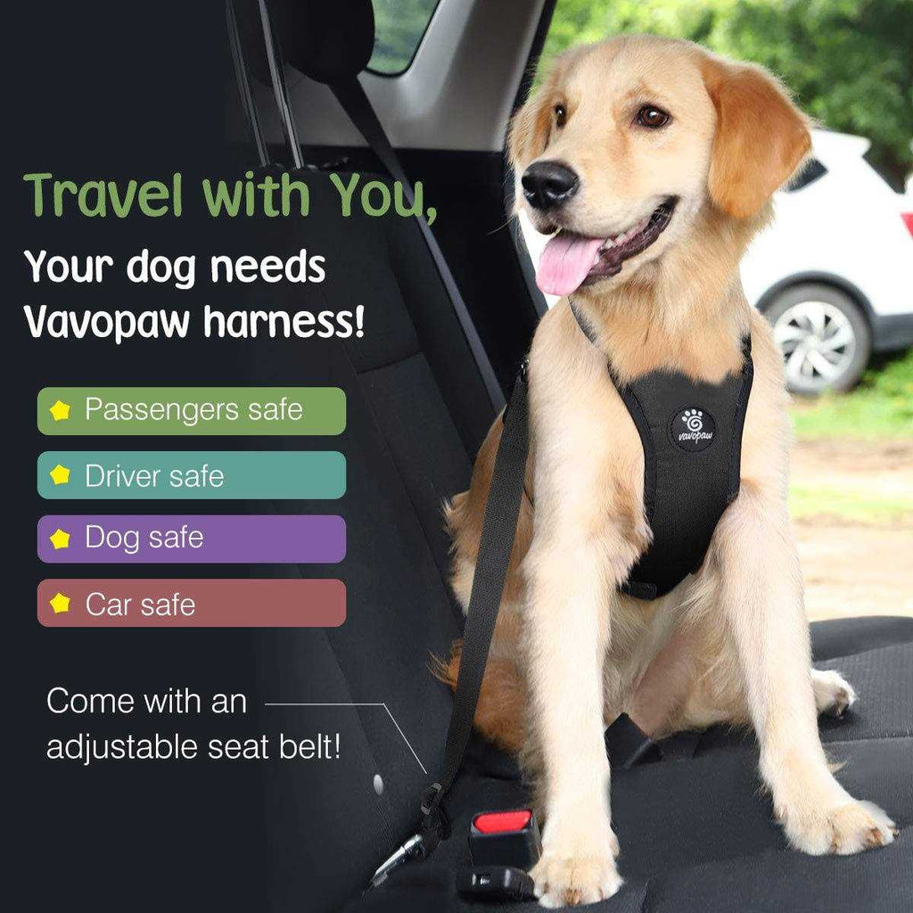 Adjustable Soft Padded Mesh Dog Vehicle Safety Vest Harness with Travel Strap and Carabiner L321