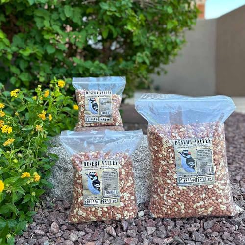 Shelled Peanuts Wild Bird Food 10 Pounds S844