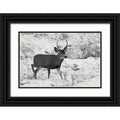 Black Ornate Wood Framed Museum Art Print V36030
