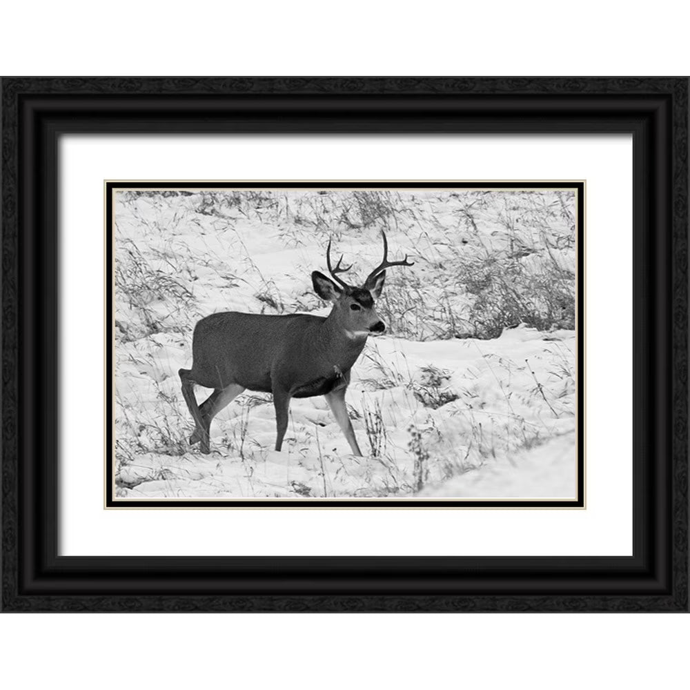 Black Ornate Wood Framed Museum Art Print V36030
