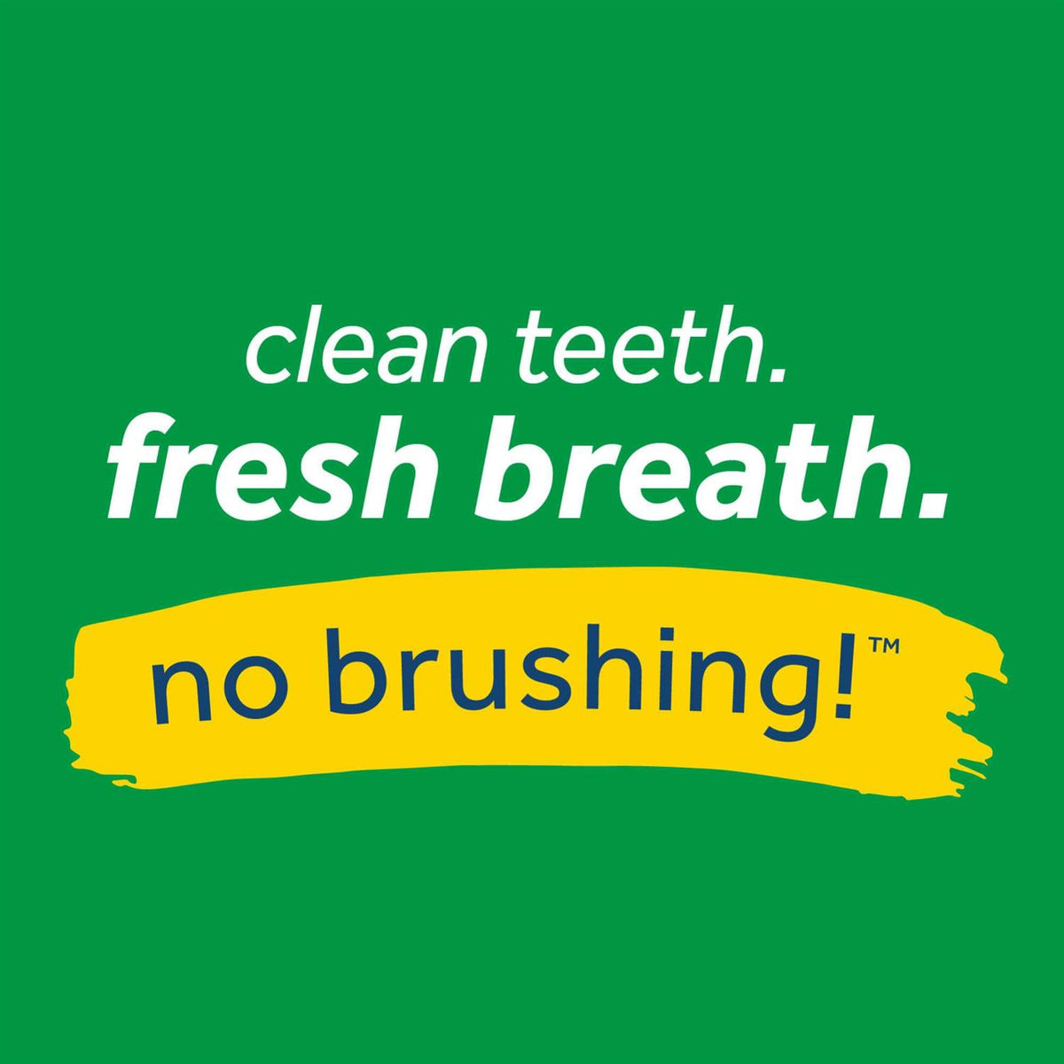 Fresh Breath Oral Care Spray B403