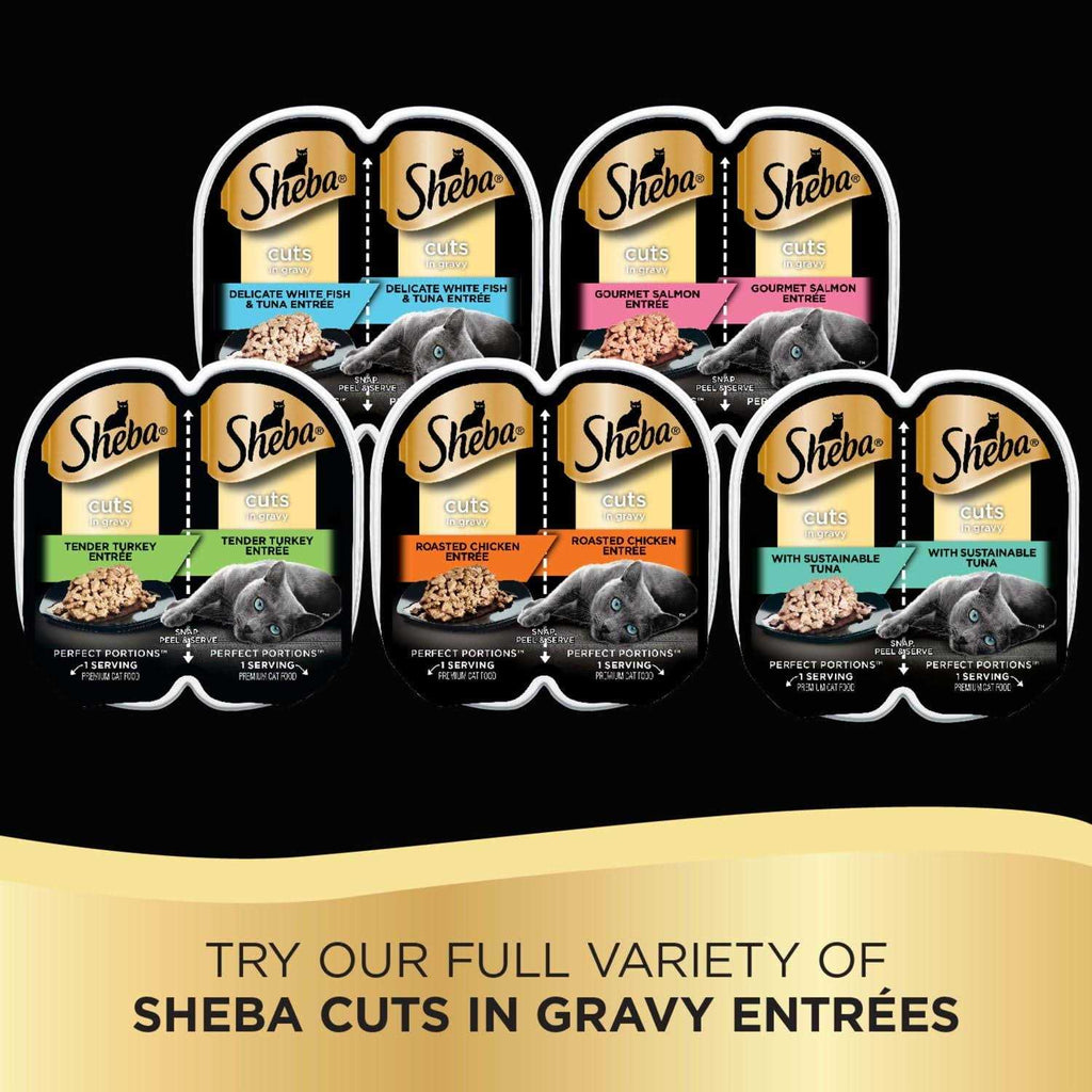 Cuts in Gravy B719