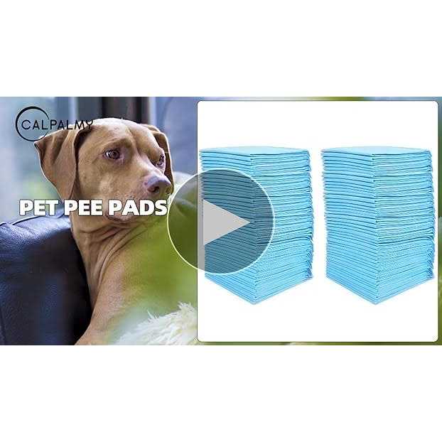 Ultra Absorbency Pet Training Pads 18 x 13 B57091