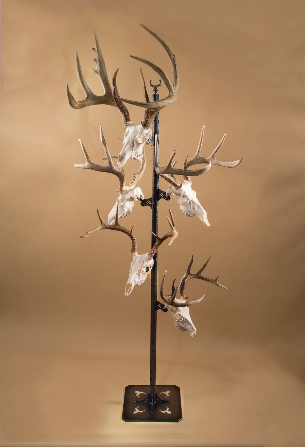 Black Trophy Tree Floor Display with 5 Mounting Brackets K230