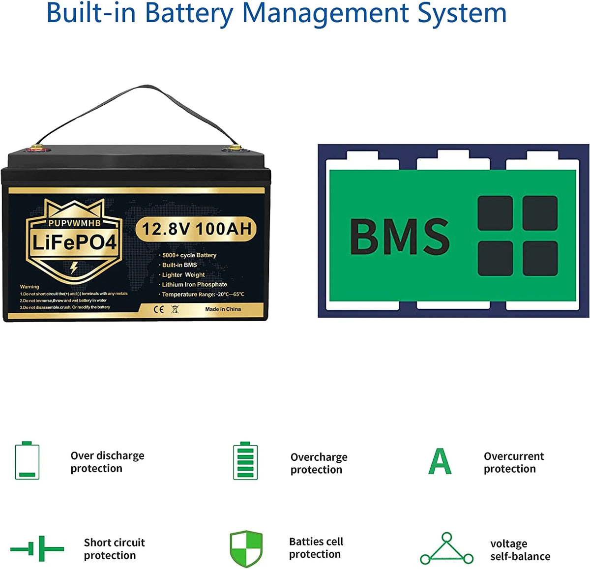 LiFePO4 Battery 12V 100Ah Lithium Iron Phosphate Battery with Built-in BMS F2305