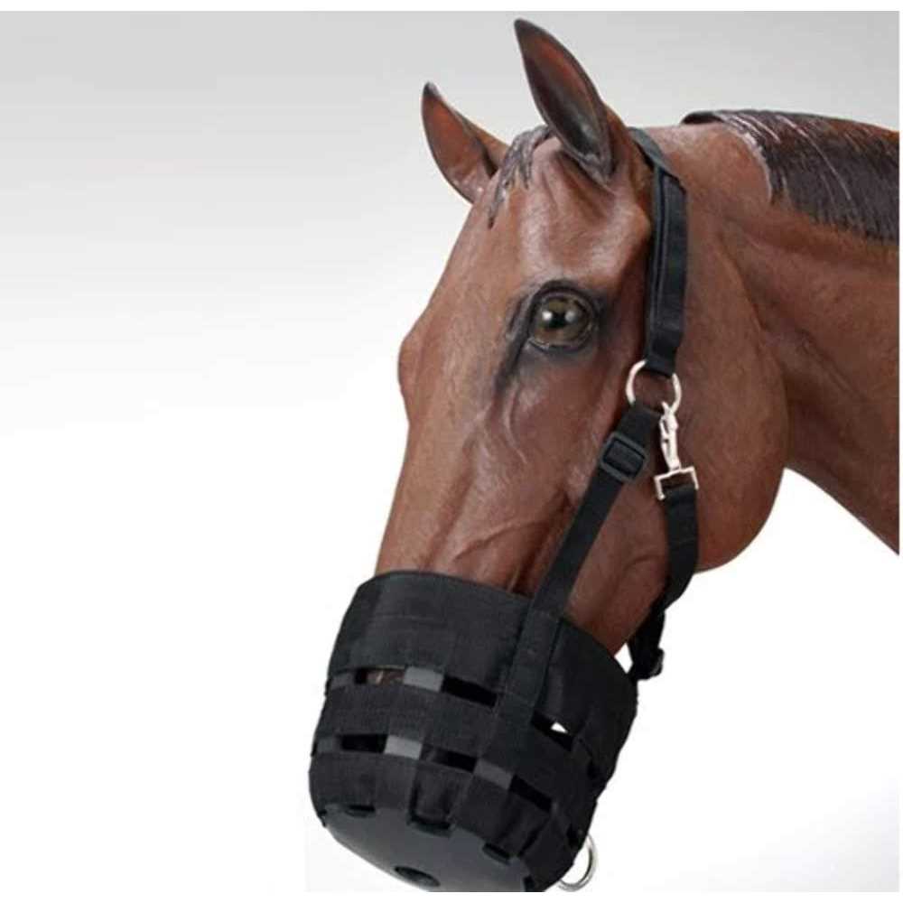 Nylon Halter Grazing Muzzle Y283