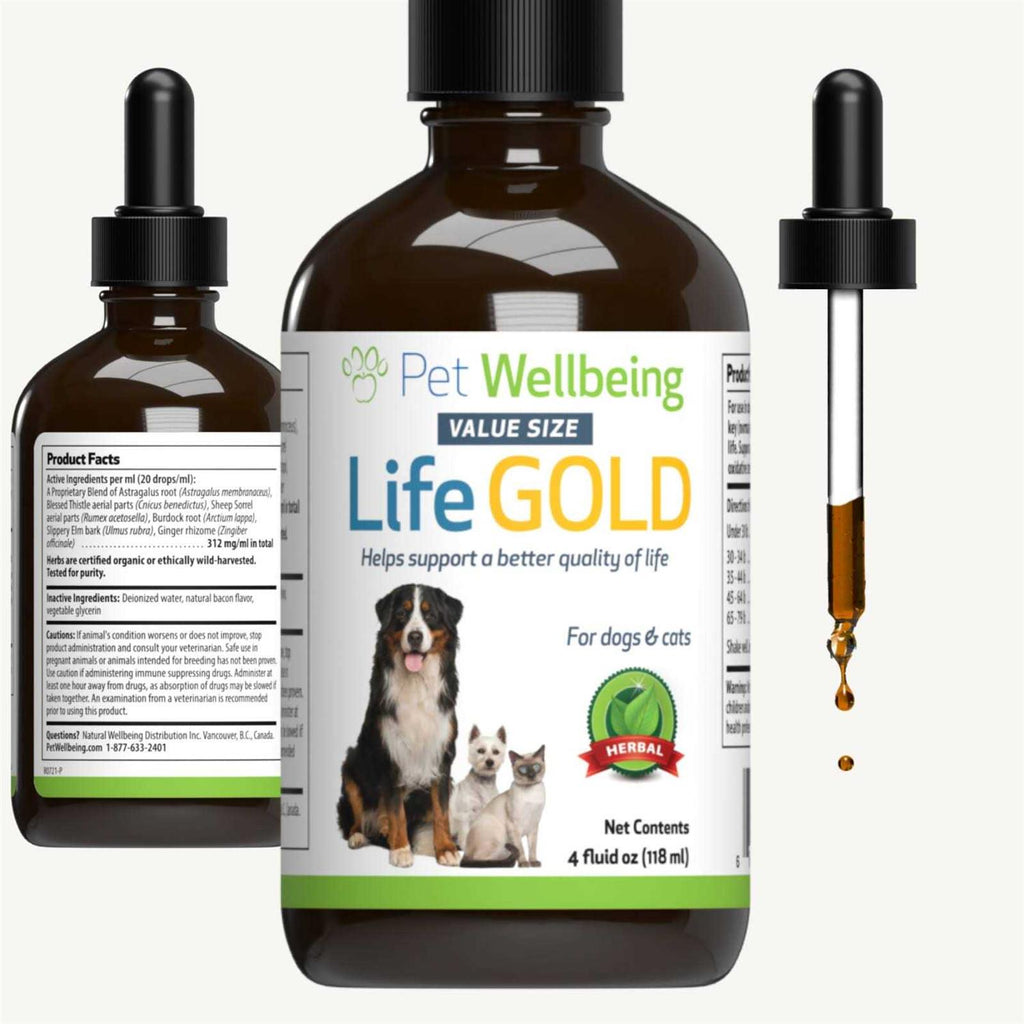Life Gold for Dogs V3573