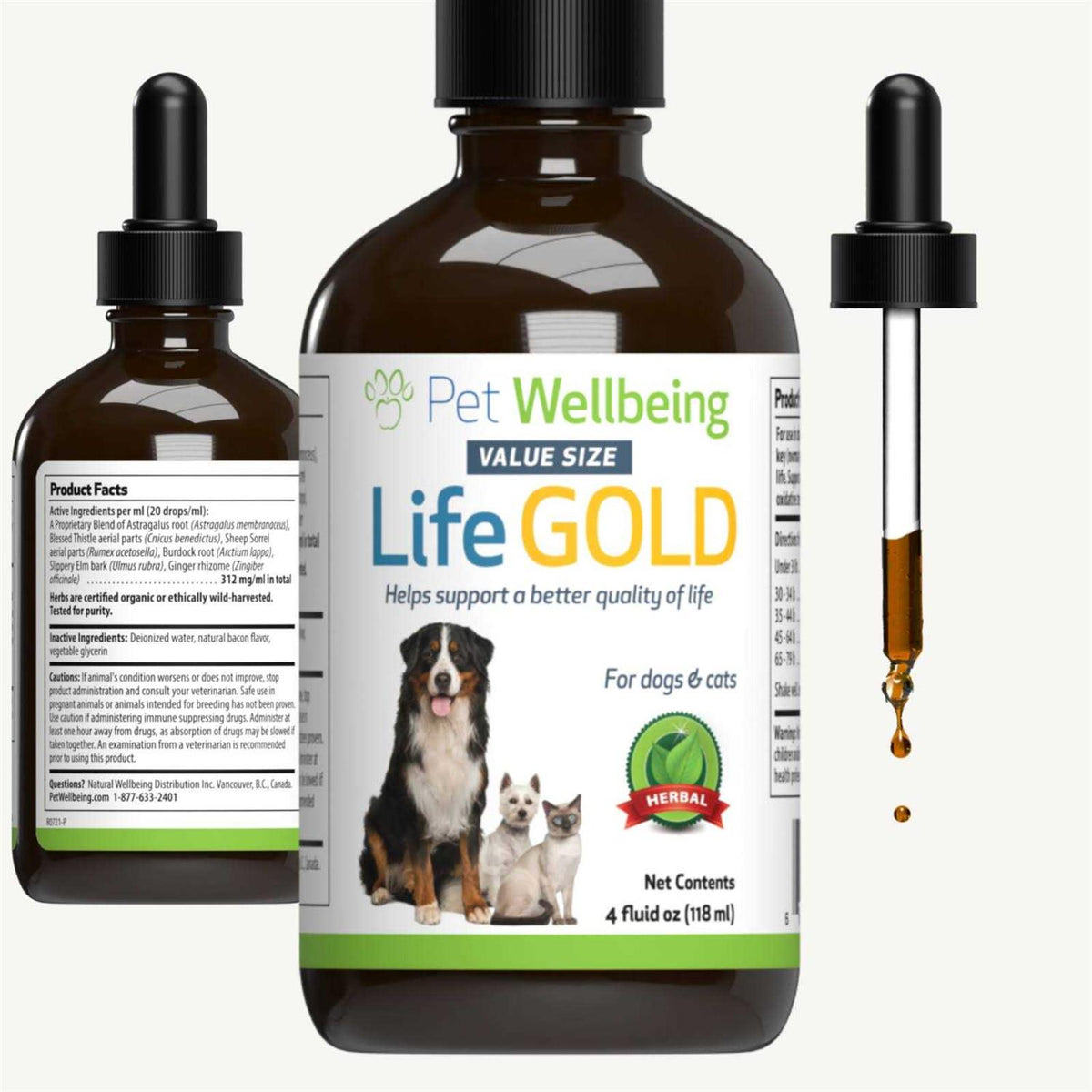 Life Gold for Dogs V3573