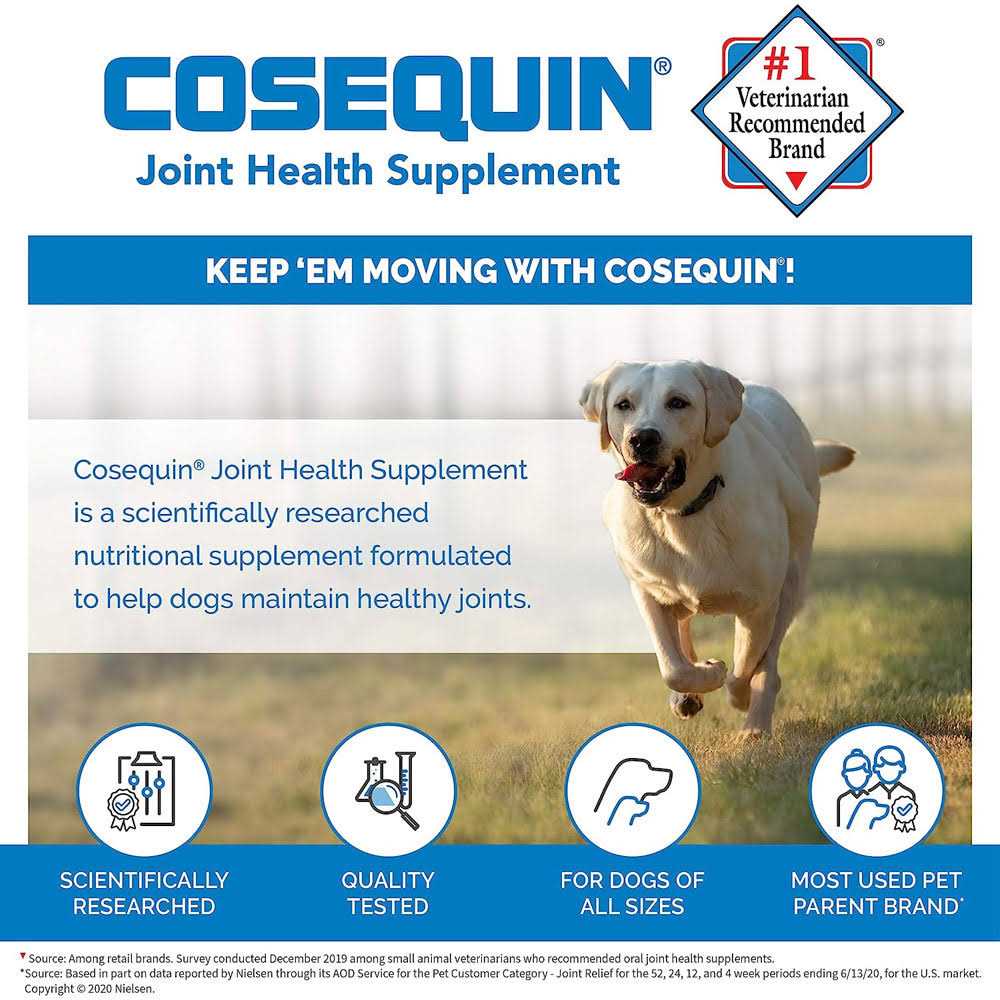 Joint Health Supplement for Senior Dogs W57199