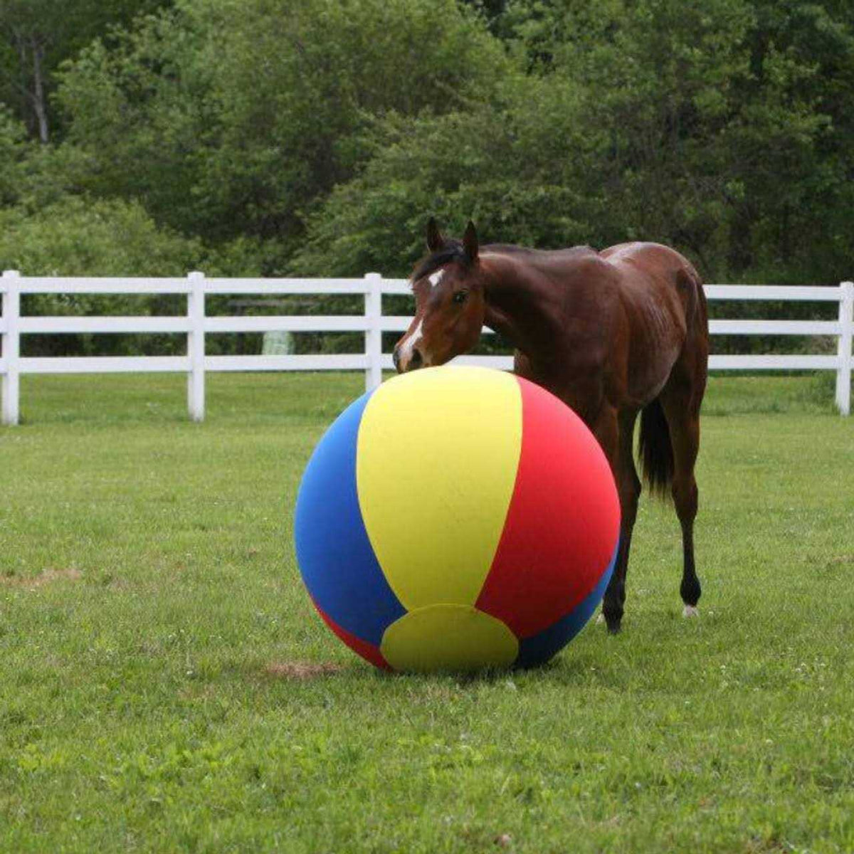 Jolly Mega Ball Cover J694836