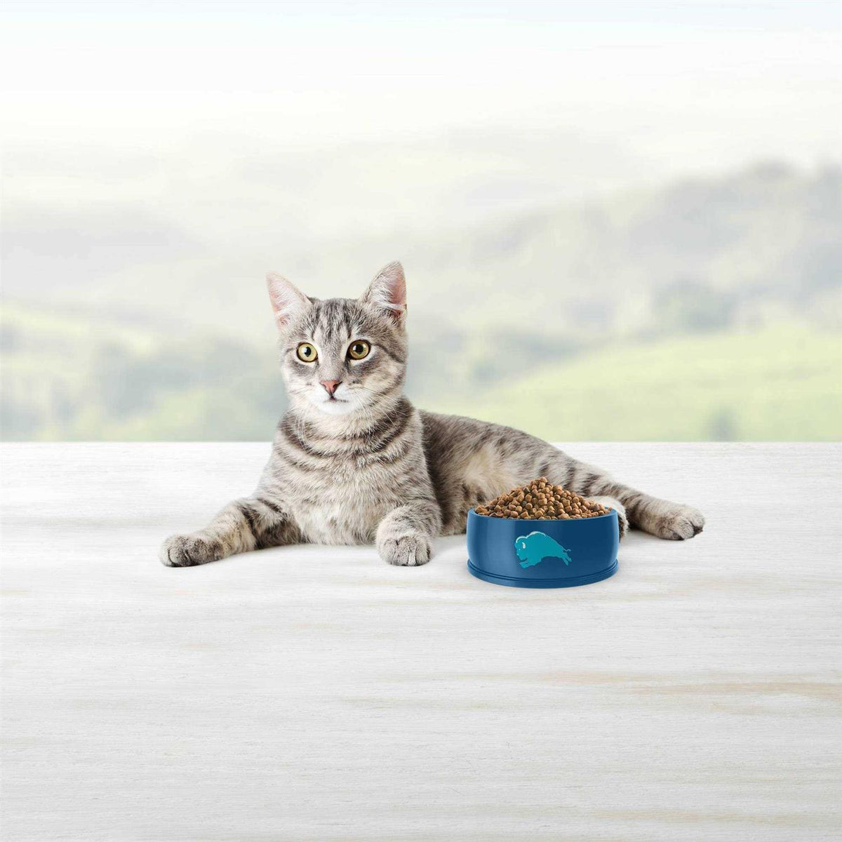 Blue Indoor Hairball Control Dry Cat Food B46626