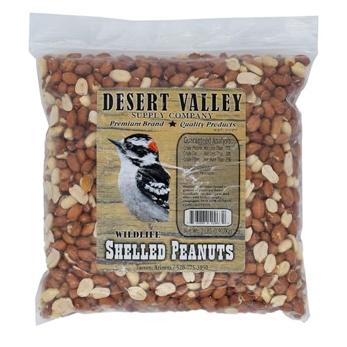 Shelled Peanuts Wild Bird Food 10 Pounds S844