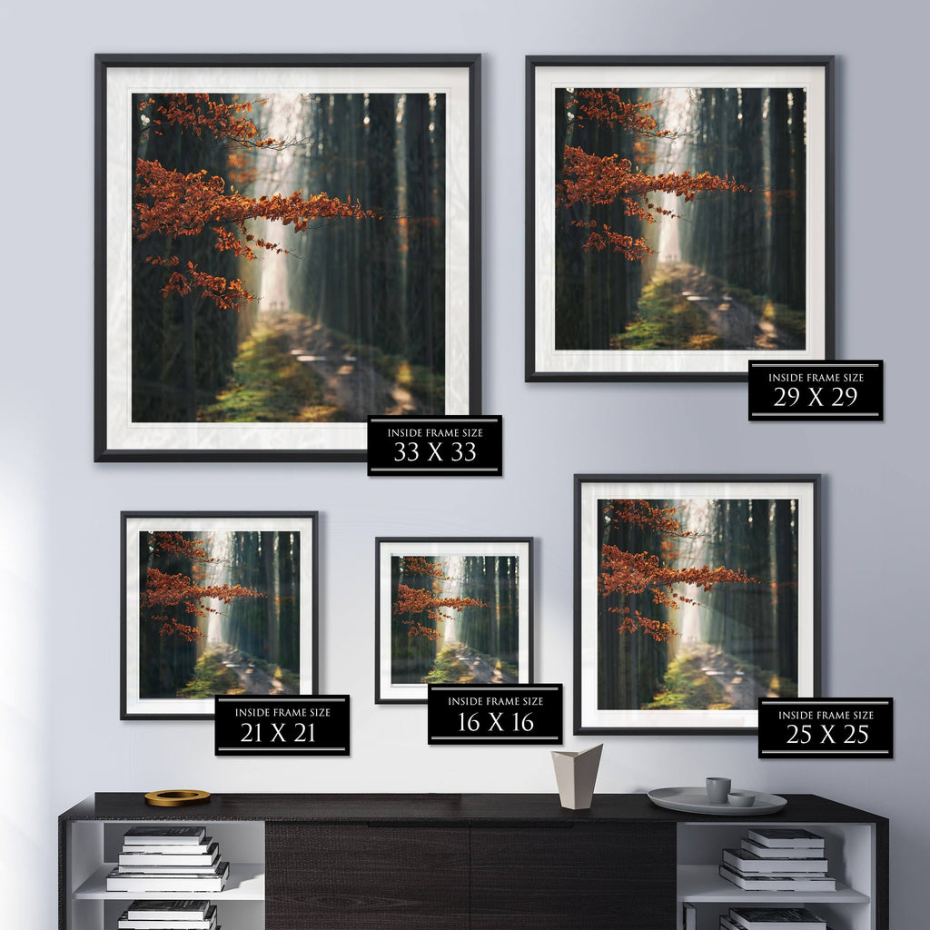 Three-Framed Giclee Print 28x28 A511184