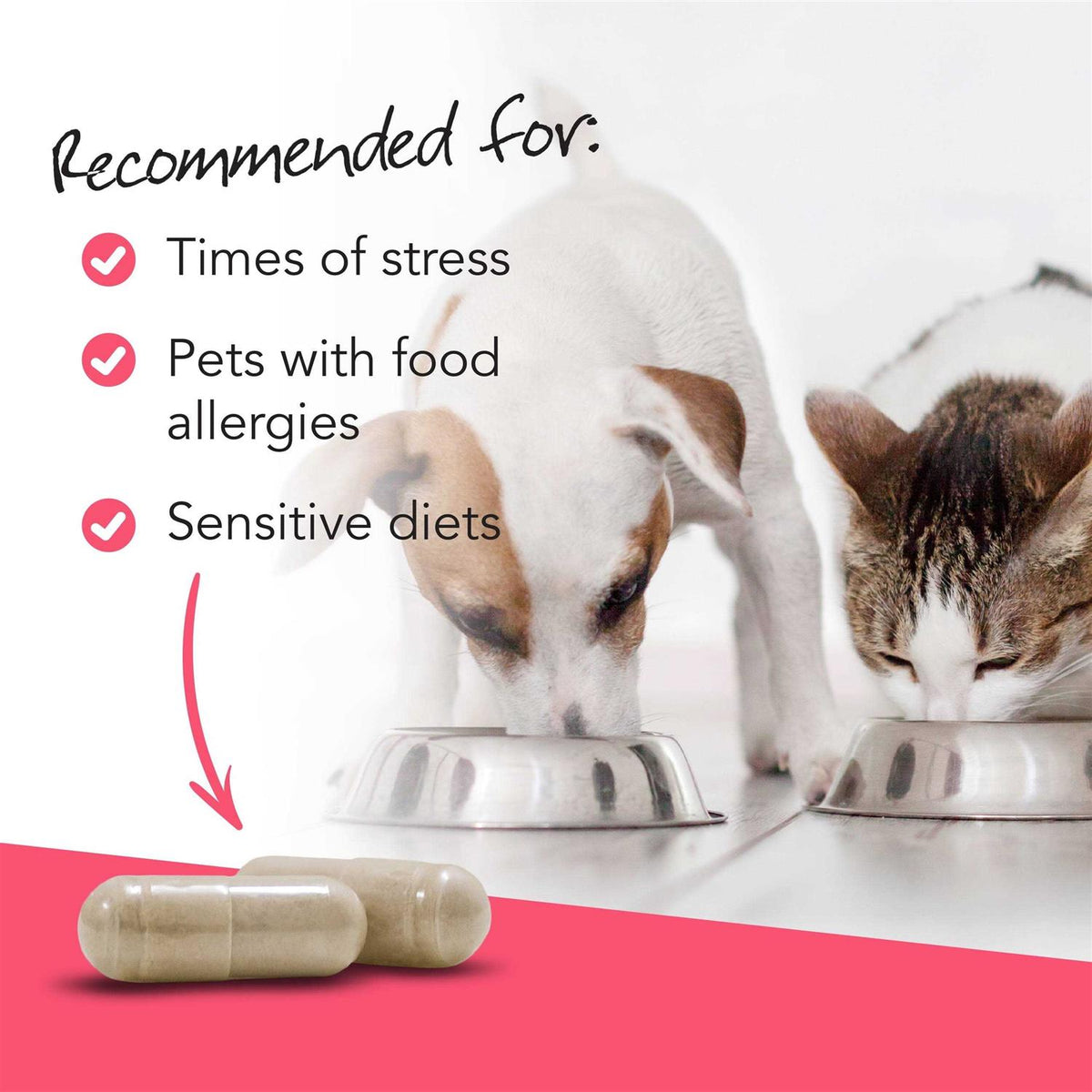 Probiotic Pet Supplies D615