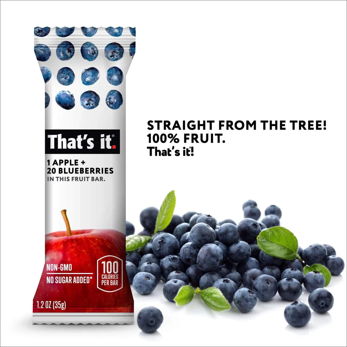 Apple Blueberry 100% Natural Fruit Bar 12 Pack D856