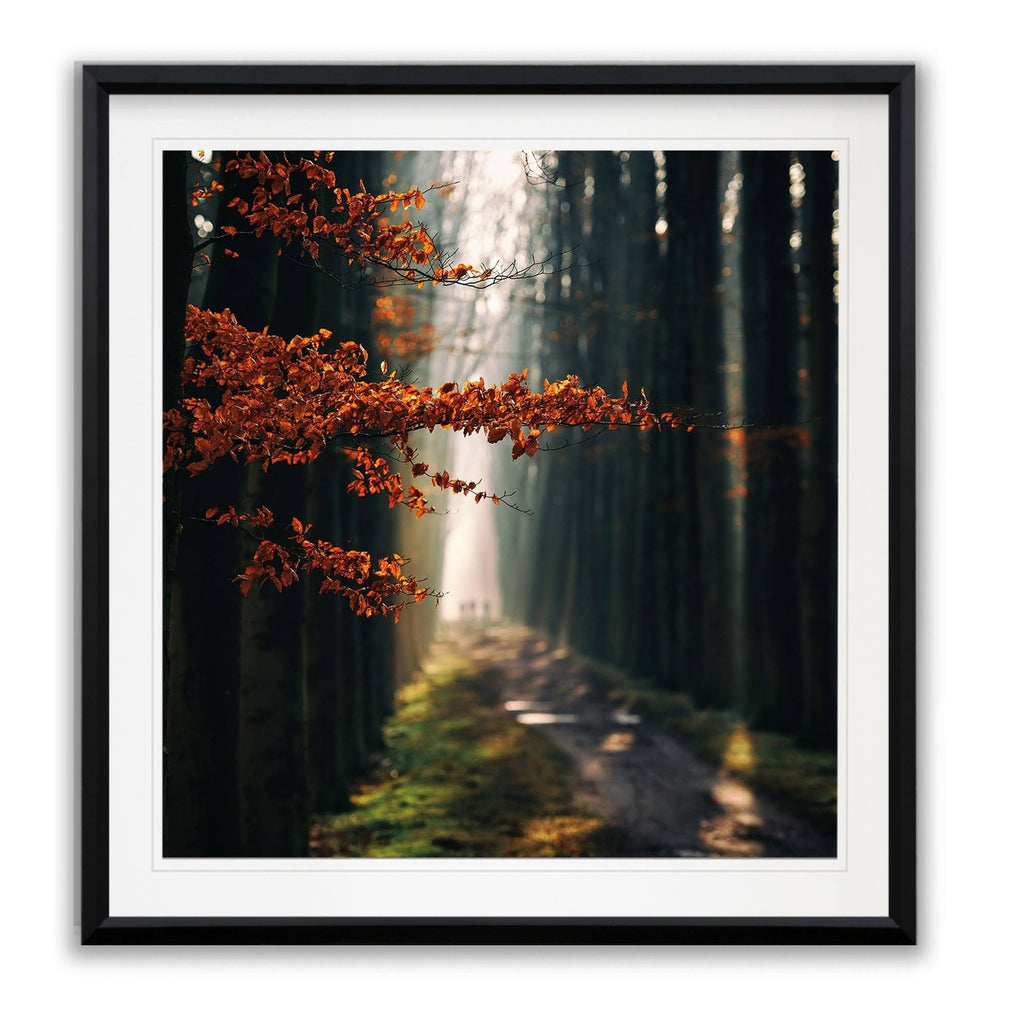 Three-Framed Giclee Print 28x28 A511184