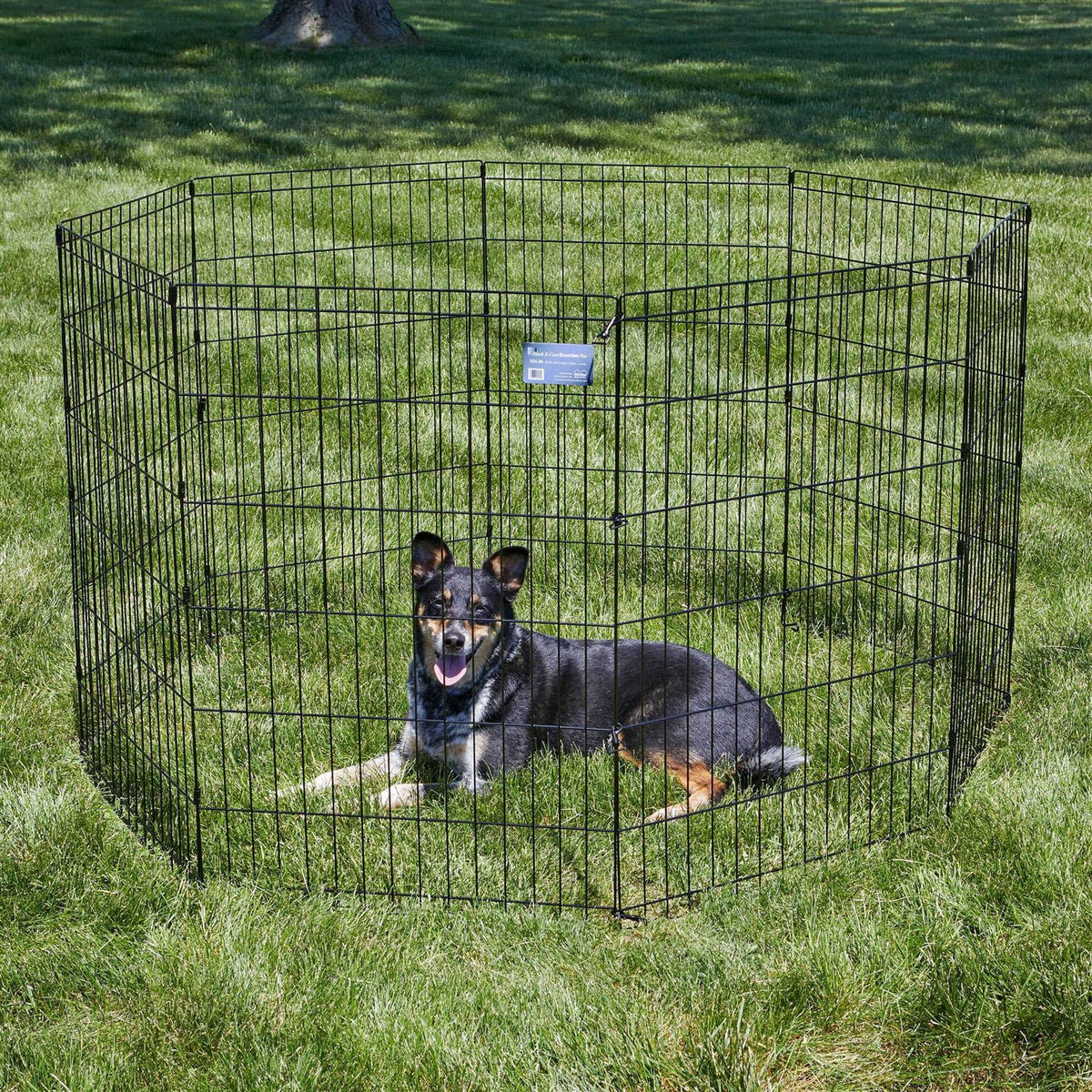 Exercise Pen Y4443
