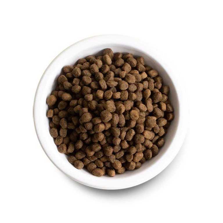 Premium Recipe E917332