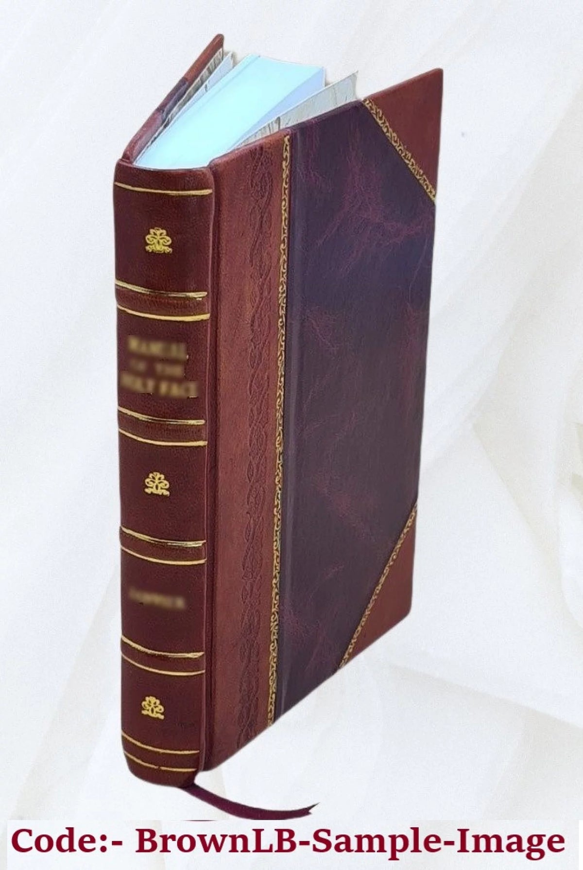 Electro-Magnetic Telegraphy Leather Bound T665635