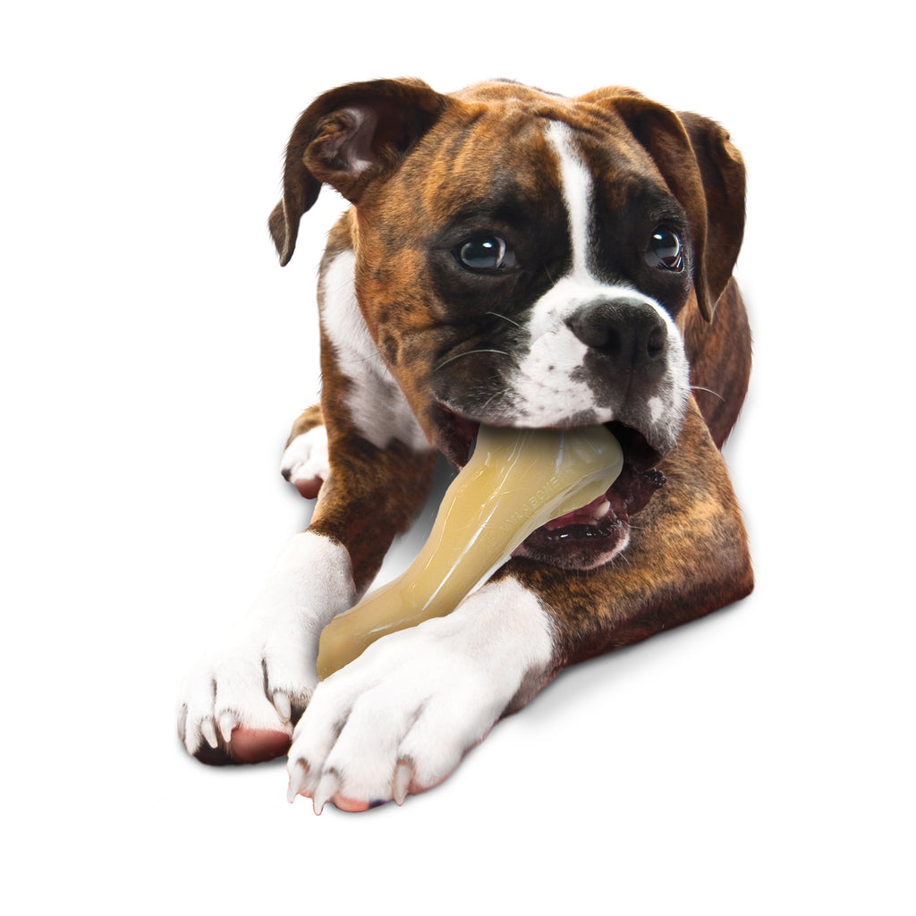 XX-Large Chicken Dog Chew Toy K88628