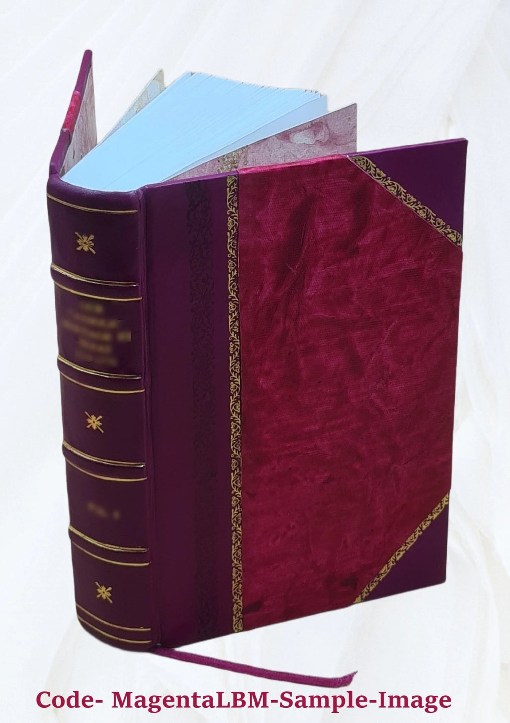 1920 Census Population Schedules Illinois Leather Bound D3128
