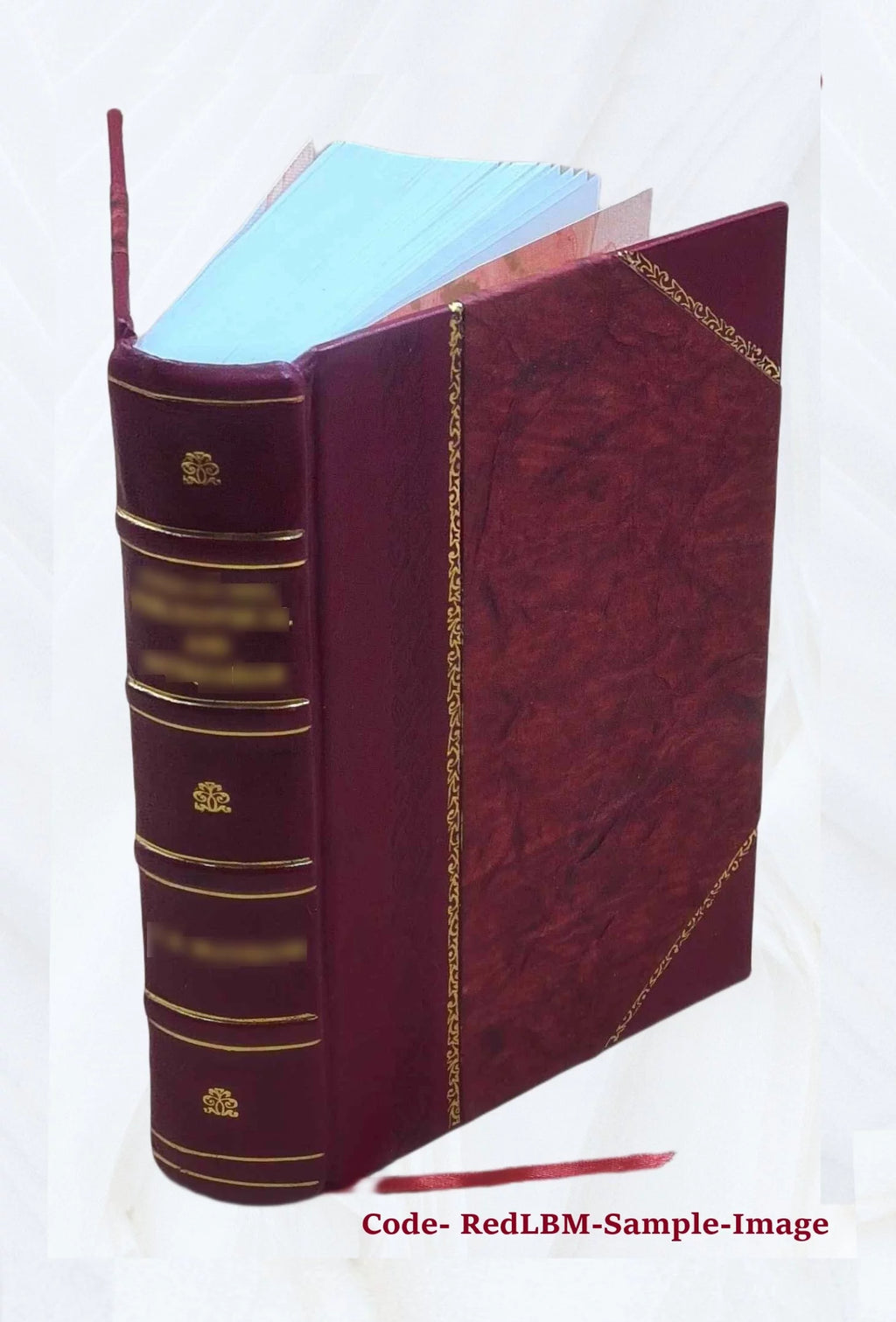 1920 Census Population Schedules Illinois Leather Bound D3128
