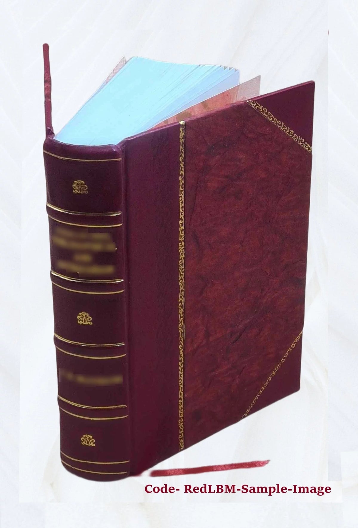 1920 Census Population Schedules Illinois Leather Bound D3128