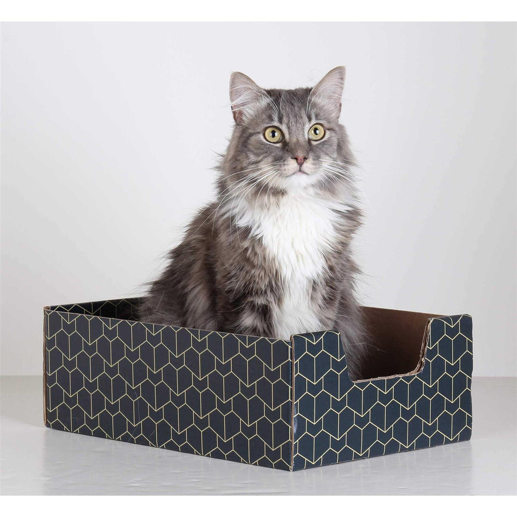 Blue Cat Box N46380