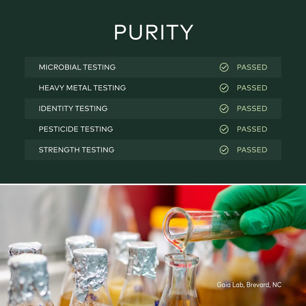 Energy Vitality 60 Vegan Liquid Phyto-Caps I896416