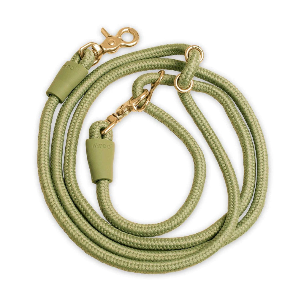 Leash F3065