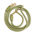 Leash F3065
