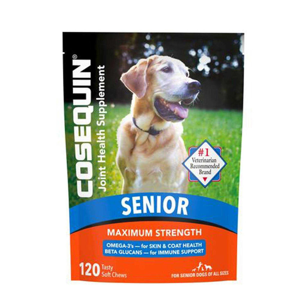 Joint Health Supplement for Senior Dogs W57199