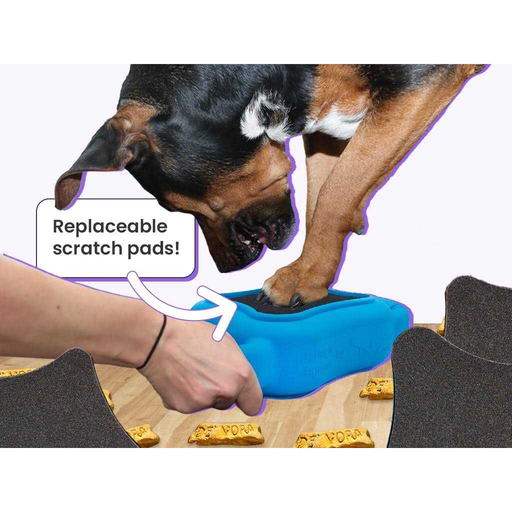 Square Dog & Cat Grooming Toy E9254