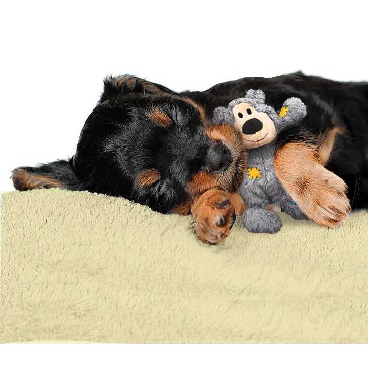 Bear Dog Toy U627