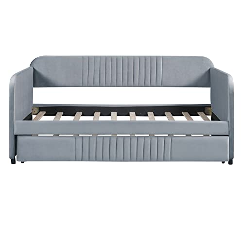 Twin Size Upholstered Daybed with 2 Storage Drawers Velvet L378