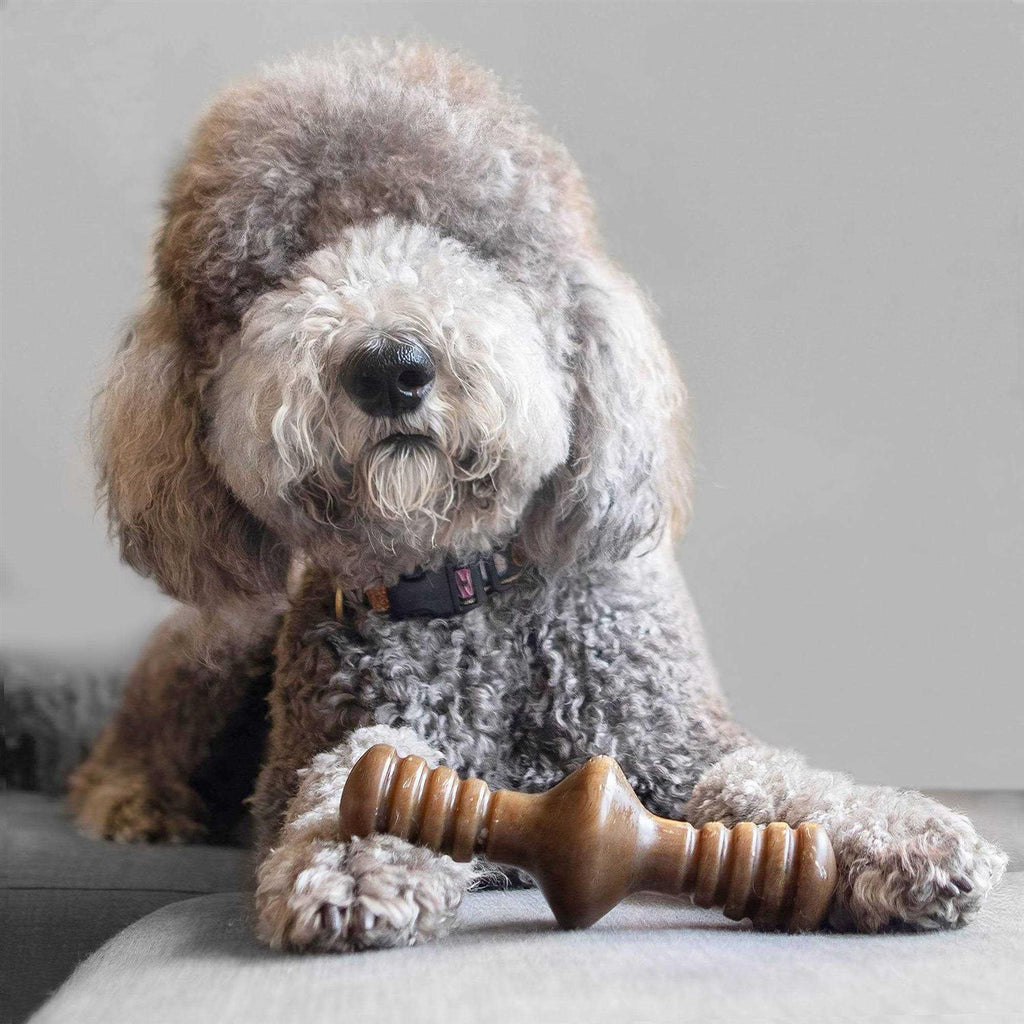 Chicken Dog Chew Toy A874506