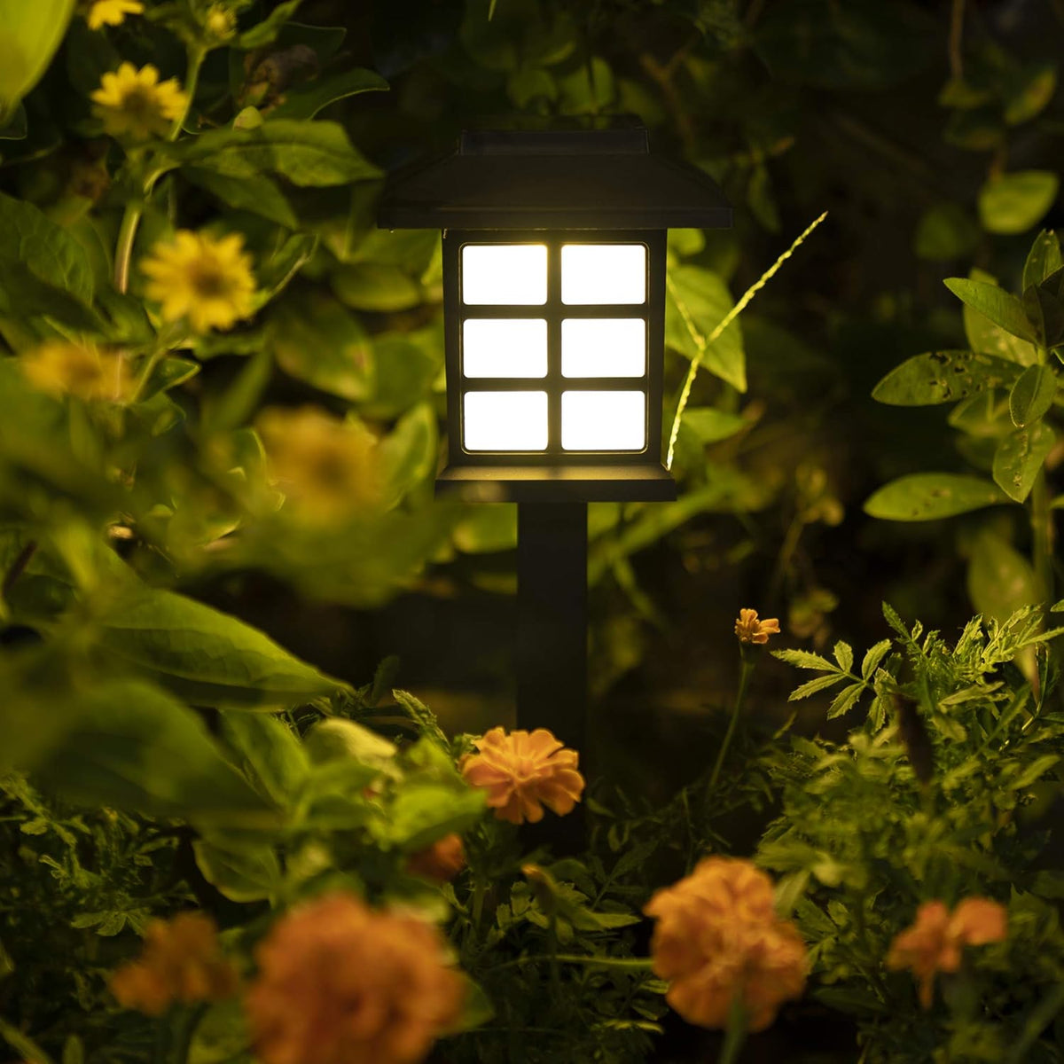 12 Pack Solar Path Lights Warm White L543