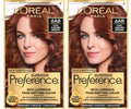 Chic Auburn Brown 6AB Permanent Hair Color, 1 Hair Dye Kit (Pack of 2) A11759