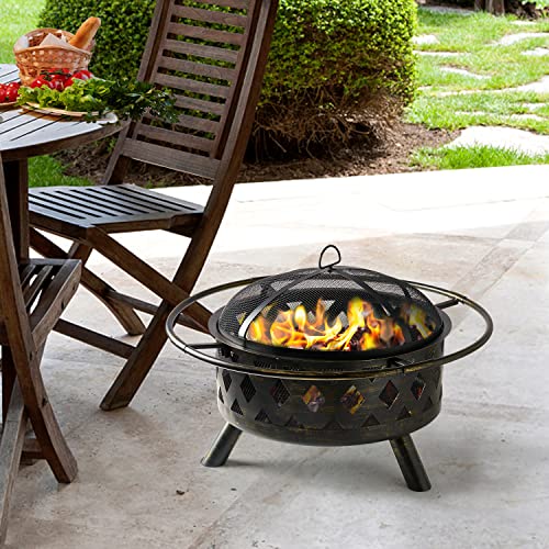 2 in 1 Wood Burning Fire Pit with Mesh Spark Screen Doors O885