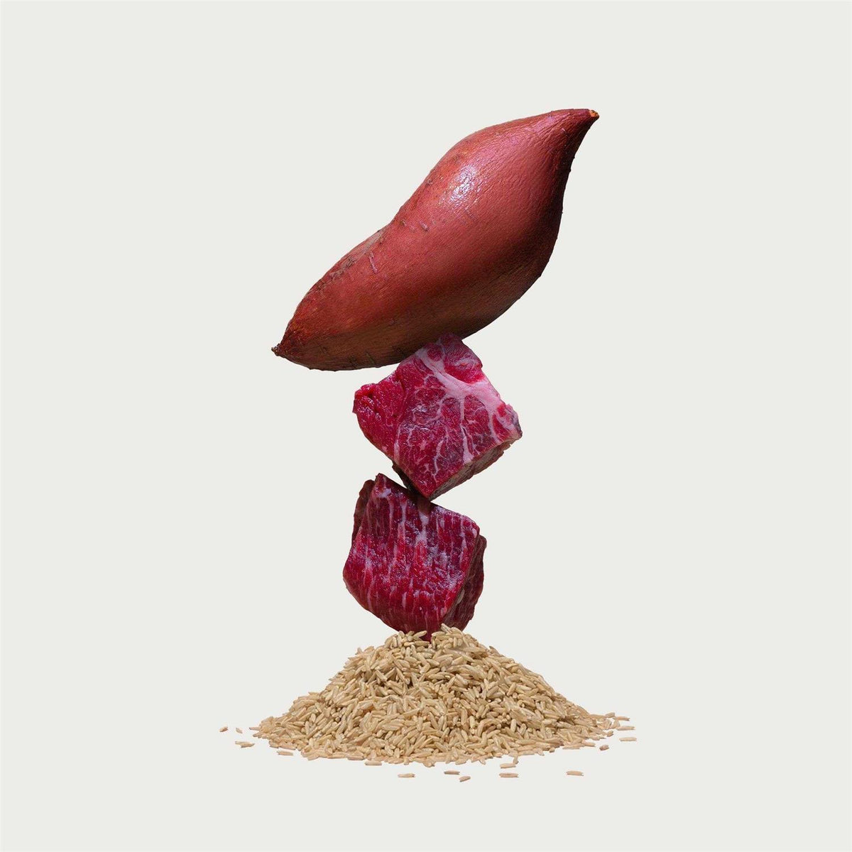 Beef Brown Rice & Sweet Potato Dry Dog Food N685716