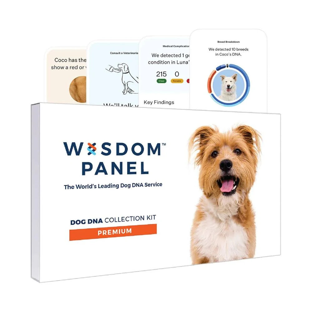 Dog Breed Identification DNA Test Kit A6818