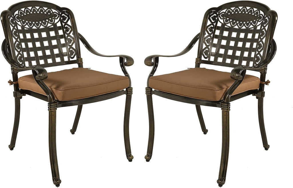 Cast Aluminum Outdoor Dining Chairs Set of 2 D9436