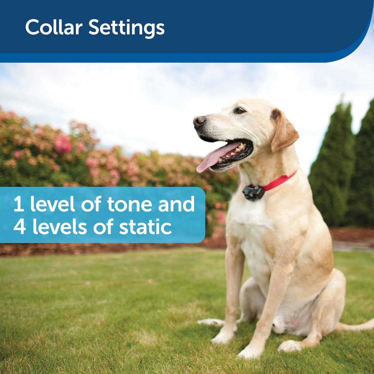 Ultralight Receiver Collar F27852