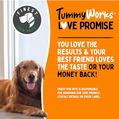 Probiotic 120 Soft Chews for Dogs P6330