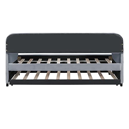 Twin Size Upholstered Daybed with 2 Storage Drawers Velvet L378