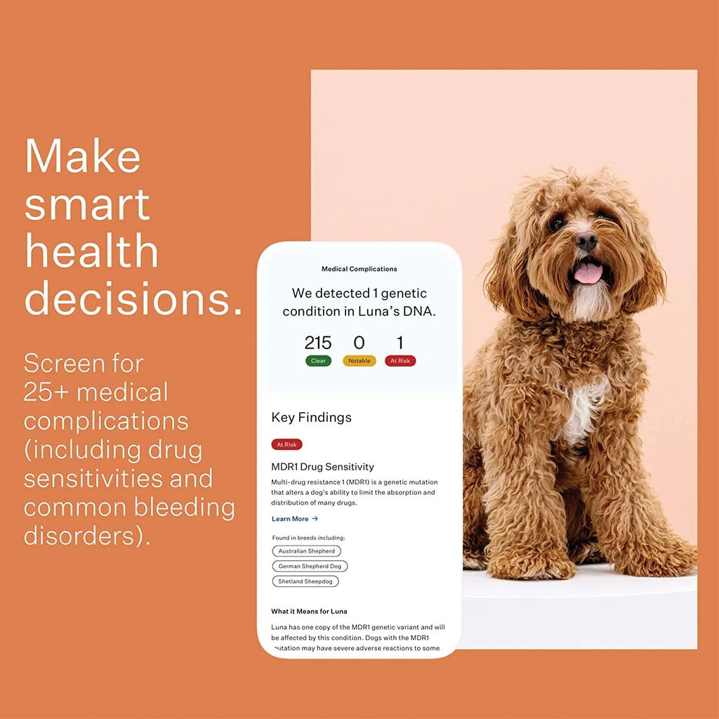 Dog Breed Identification DNA Test Kit A6818