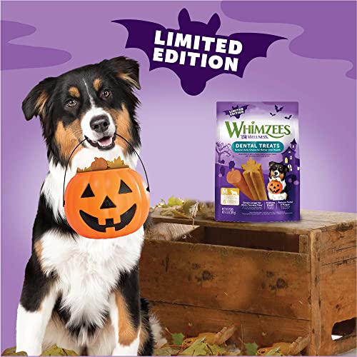 6 count Pack of 4 Natural Dental Chews for Dogs C949151